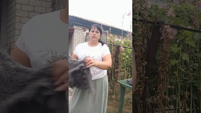 1000186246.mp4 Пуховые изделия у Ольги.т.89020931602 смотреть онлайн