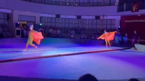 акробатическая дорожка " Млечный путь", цирковая школа " Мы из цирка"