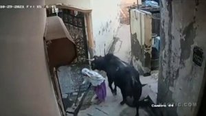 НОМЕР 8 ПРИКОЛЫ / ВИДЕО ПРИКОЛЫ / ПРИКОЛЫ ПРО / ПРИКОЛЫ ПОР/ СМЕШНЫЕ ПРИКОЛЫ / СМОТРЕТЬ ПРИКОЛЫ /