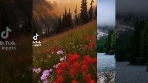 "Ага сулар"
исполняет:Роза Ахунова