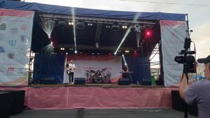 День Города Камышлов 2