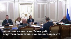 Животноводам компенсируют затраты на развитие геномной селекции, 11 августа 2025 года