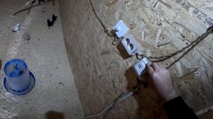 Забрали экскаватор ! Страус нападает ! ХУТОР В ЛЕСУ №729