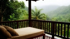 Звуки дождя. Дождь. Видео 1 час Дождь без грома для сна и отдыха