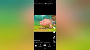 Смешные и крутые видео