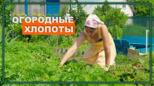 11. Огородные хлопоты, распилили доски для пола беседки