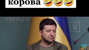 Как бы выглядели переговоры, если бы туда туда приехали Лукашенко и Зеленский