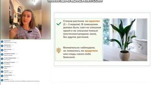 Вебинар с Катей