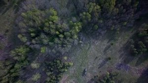 Живое видео эксплуатации вездехода BV206 от наших клиентов.