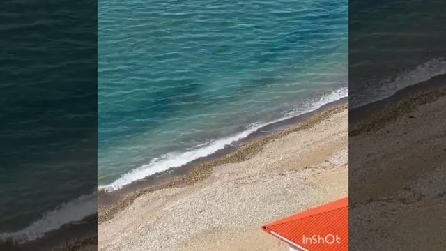 Жизнь