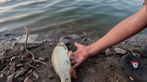 Шашлыки + рыбалка = хорошее настроение