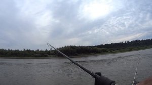 р.Обь. Район с. Боровиково...... По нолям...... клёв.