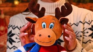 061 Олень Северный