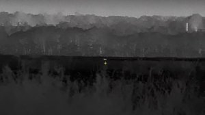 Тепловизор Guide TR 430. Лисенок и Коза.