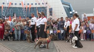 Абакан парад собак. 9 августа. День города.