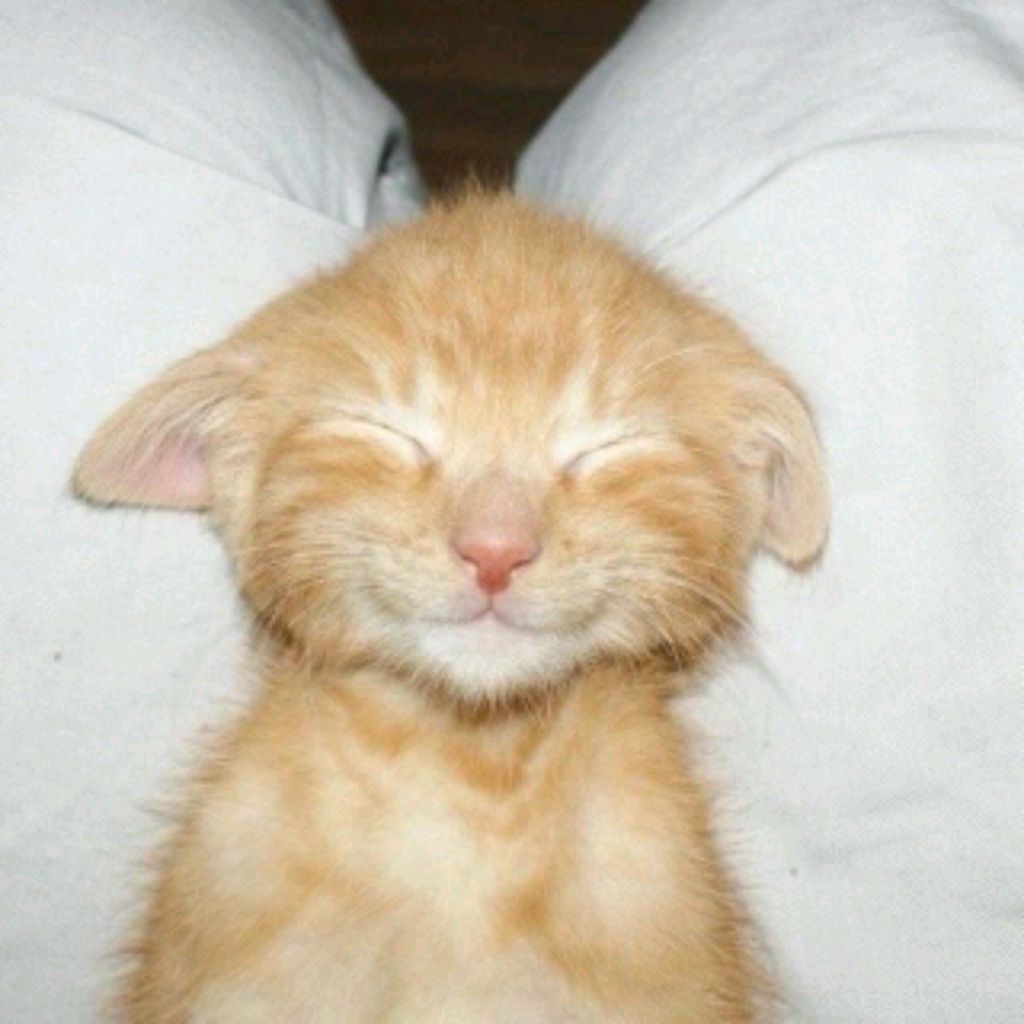 хз смотреть онлайн