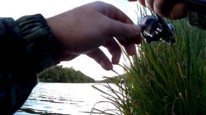 Микроджиг в августе.Хотелось поймать щуку, но клевал только окунь.