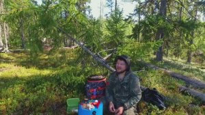 6  ТЫСЯЧ ЗА НЕСКОЛЬКО ЧАСОВ. КАК ЗАРАБОТАТЬ НА ЯГОДАХ. СБОР ЧЕРНИКИ НА ПРОДАЖУ. ТЯЖЁЛЫЙ ПРОМЫСЕЛ