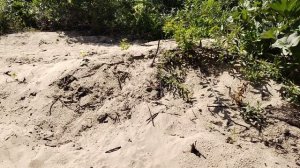 Окрестности села Нижняя Елюзань.