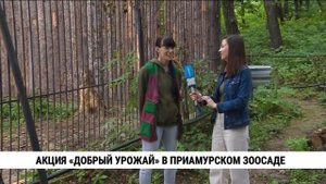 Акция «Добрый урожай» в Приамурском зоосаде