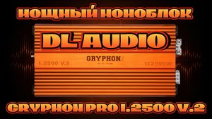 Мощный моноблок DL AUDIO GRYPHON PRO 1.2500 V.2
