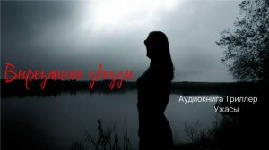 Аудиокнига Триллеры/Ужасы "Вырезанные звезды" . Оторваться невозможно!