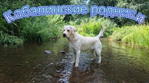 Кабалинские родники