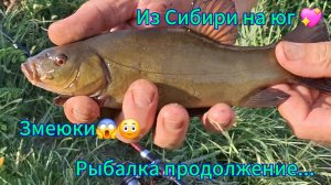 Переезд из Сибири на юг. / Купили дом на юге/ Рыбалка во всей красе💖