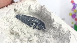 Набор для раскопок Древний Египет