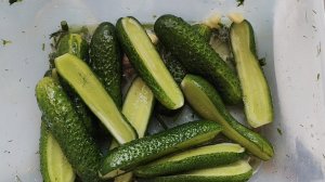 Малосольные огурцы быстрым способом в контейнере