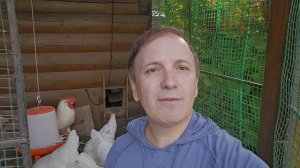 Век живи, век учись...