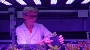 Автоматизированные лабораторные комплексы для спидбридинга - КлимБиоТех