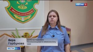 В Забайкалье уничтожено масло сомнительного происхождения