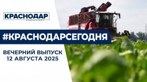 Уборка сахарной свёклы, развитие парковочной сети Краснодара. Новости 12 августа.