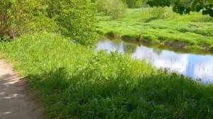 Идем в Новом Иерусалиме с акафистом покаяния. 4 июня.