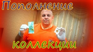 Сайгаки и скауты.