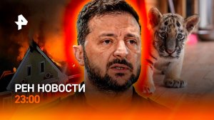 Киев готовит провокации / В Лейпциге убили тигров / Мнимые громоотводы / РЕН НОВОСТИ 12.08, 23:00