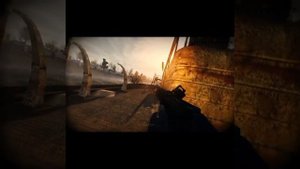 Сталкер гамма 
Выживач