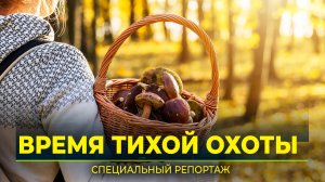 На Ямале начался пик грибного сезона