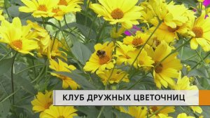 Одна начала, другие поддержали