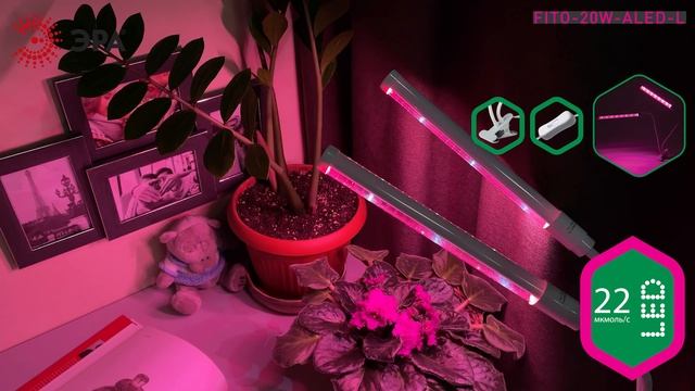 Фитосветильник FITO 20W АLED L смотреть онлайн