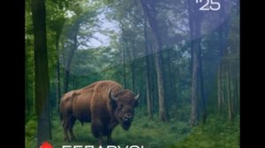 Беларусь - Интервидение-25 (БРИКС-25)