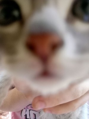 роблокс пишите ники 😄😄