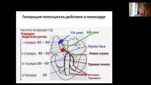 Аритмия. Часть 4. Нарушения проводящей системы сердца (блокады)