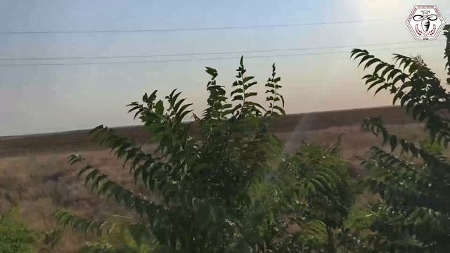 вело пробег