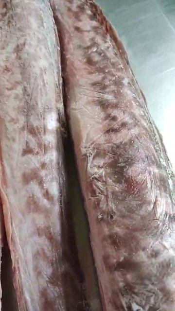 Конгрио свежемороженая смотреть онлайн