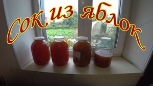 Сок на соковыжималке Салют