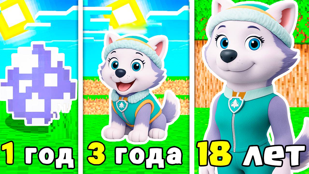 КАК МЕНЯЛАСЬ ЭВЕРЕСТ ЩЕНЯЧИЙ ПАТРУЛЬ В МАЙНКРАФТ смотреть онлайн