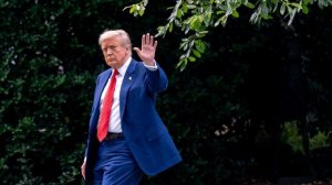 Трамп не поддержал Зеленского в отказе уступать территории России