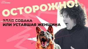 Эфир Бесплатной недели «Гениальной уборки»: «Осторожно злая собака или уставшая мама».